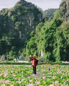 The Ultimate Guide to the Lotus Blooming Season at Hang Mua, Ninh Binh - image 2