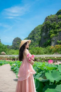 The Ultimate Guide to the Lotus Blooming Season at Hang Mua, Ninh Binh - image 1