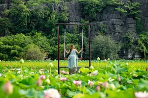 The Ultimate Guide to the Lotus Blooming Season at Hang Mua, Ninh Binh - image 10