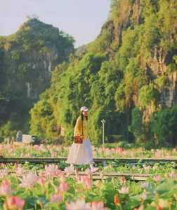 The Ultimate Guide to the Lotus Blooming Season at Hang Mua, Ninh Binh - image 6