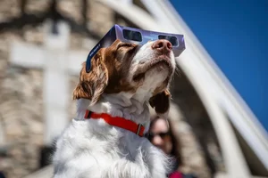 Breathtaking Photos: The Once-in-a-Century Total Solar Eclipse in North America - image 11