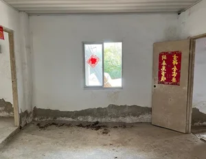 Unbelievable Renovation: How a Former Chicken Coop Became a Dream Home - image 4