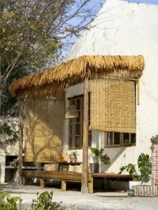 Unbelievable Renovation: How a Former Chicken Coop Became a Dream Home - image 2