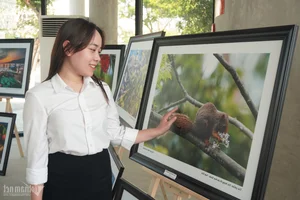 Son Tra Art Exhibition House: Da Nang’s Newest Architectural Landmark Inspired by the Graceful Wings of Seagulls - image 1