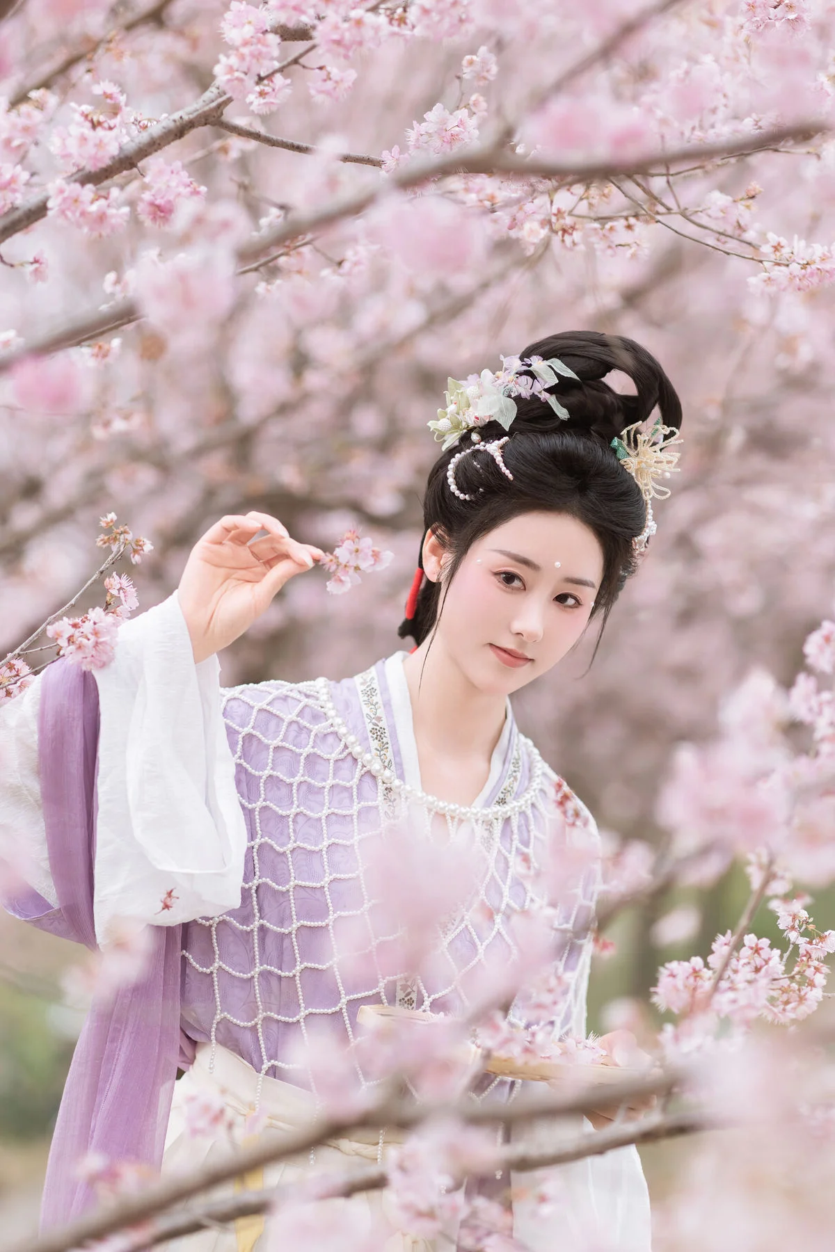 Su Chen YiTuYu Art Language Vol 6800 Exclusive Gallery