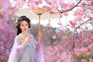 Hua Zhuang Shi Tian: Ethereal Beauty in Hanfu Amidst Cherry Blossoms, YiTuYu Vol.8837 - image 4