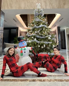 Comedian Viet Huong Celebrates a Warm and Joyful Christmas with Family - image 0