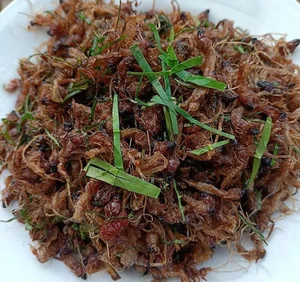 The Rare 500,000 VND Delicacy That Lives for Only a Few Hours - image 1
