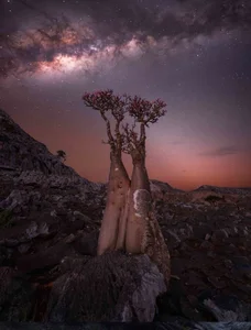 Celestial Wonders: A Glimpse into the Most Beautiful Milky Way Photos of 2024 - image 5