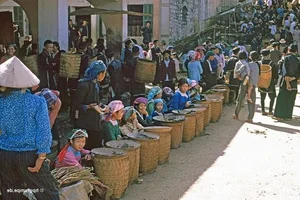 Nostalgic Journey: Rare Photos of Sa Pa’s Untouched Beauty 30 Years Ago - image 3