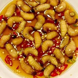 Quoc Truong Challenges Tieu Vy with 5 Unique Delicacies from His Hometown - image 5