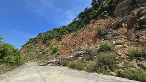 Important Travel Update: Road Closures on Da Nang’s Son Tra Peninsula - image 16