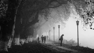 Aesthetic Moody Landscapes: 99+ Emotional and Unique Sceneries - image 49