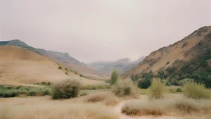 Aesthetic Moody Landscapes: 99+ Emotional and Unique Sceneries - image 34