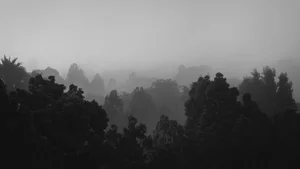 Aesthetic Moody Landscapes: 99+ Emotional and Unique Sceneries - image 41