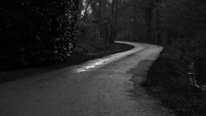 Aesthetic Moody Landscapes: 99+ Emotional and Unique Sceneries - image 48