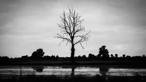 Aesthetic Moody Landscapes: 99+ Emotional and Unique Sceneries - image 90