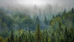 Aesthetic Moody Landscapes: 99+ Emotional and Unique Sceneries - image 42