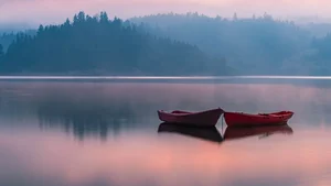 Aesthetic Moody Landscapes: 99+ Emotional and Unique Sceneries - image 8