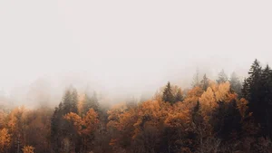 Aesthetic Moody Landscapes: 99+ Emotional and Unique Sceneries - image 46