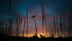 Aesthetic Moody Landscapes: 99+ Emotional and Unique Sceneries - image 95