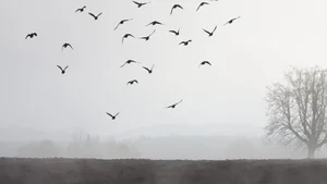Aesthetic Moody Landscapes: 99+ Emotional and Unique Sceneries - image 38