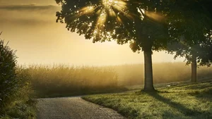 Aesthetic Moody Landscapes: 99+ Emotional and Unique Sceneries - image 40