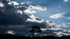 Aesthetic Moody Landscapes: 99+ Emotional and Unique Sceneries - image 30