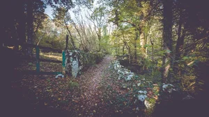 Aesthetic Moody Landscapes: 99+ Emotional and Unique Sceneries - image 67