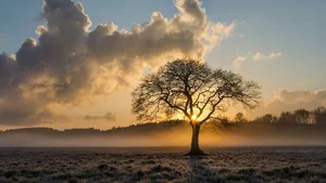Aesthetic Moody Landscapes: 99+ Emotional and Unique Sceneries - image 15