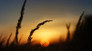 Aesthetic Moody Landscapes: 99+ Emotional and Unique Sceneries - image 80