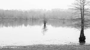 Aesthetic Moody Landscapes: 99+ Emotional and Unique Sceneries - image 83