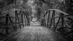 Aesthetic Moody Landscapes: 99+ Emotional and Unique Sceneries - image 44