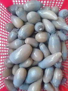 The Goosebump-Inducing Delicacy: Why This $8/kg Specialty Is Still Highly Sought After - image 7