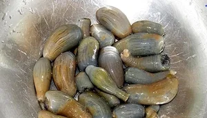 The Goosebump-Inducing Delicacy: Why This $8/kg Specialty Is Still Highly Sought After - image 3
