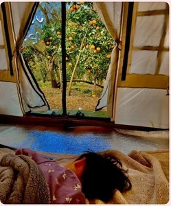 Top Outdoor Camping Destinations for Lunar New Year Holiday Getaways - image 9