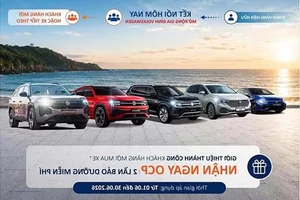 Volkswagen Announces Major June Promotions and Support for E10 Eco-Friendly Fuel - image 4