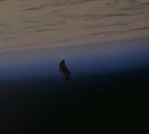 The Mystery of the Black Knight Satellite: An Alien Masterpiece in Earth's Orbit? - image 6