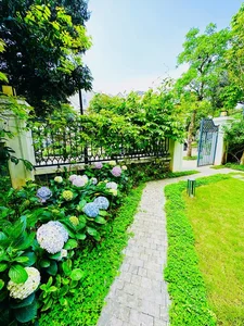 Inside the 60 Billion VND Luxury Villa of the Actress and Her 'Sugar Daddy' Husband - image 6