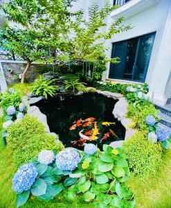 Inside the 60 Billion VND Luxury Villa of the Actress and Her 'Sugar Daddy' Husband - image 4