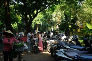 Hanoi Streets Bustle on September 2nd Holiday: Flower Vendors Earn Millions as Crowds Seek Perfect Photos - image 3