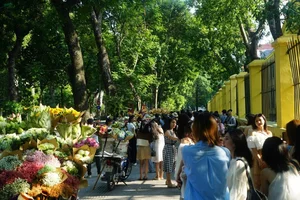 Hanoi Streets Bustle on September 2nd Holiday: Flower Vendors Earn Millions as Crowds Seek Perfect Photos - image 0