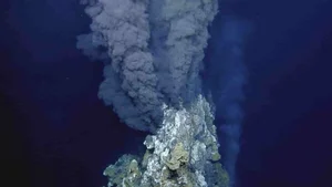 Exploring the Mysteries of Life: Fascinating Scientific Theories on Our Origins - image 2