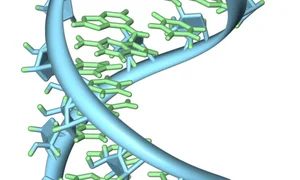 Exploring the Mysteries of Life: Fascinating Scientific Theories on Our Origins - image 12