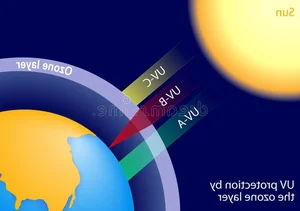 Exploring the Mysteries of Life: Fascinating Scientific Theories on Our Origins - image 7