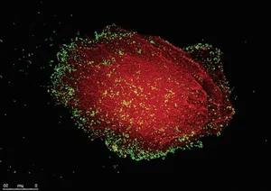 Exploring the Mysteries of Life: Fascinating Scientific Theories on Our Origins - image 9