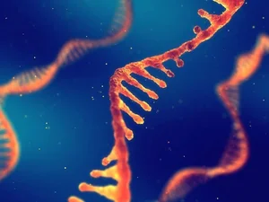 Exploring the Mysteries of Life: Fascinating Scientific Theories on Our Origins - image 1