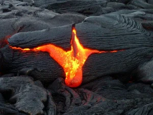 Exploring the Mysteries of Life: Fascinating Scientific Theories on Our Origins - image 13