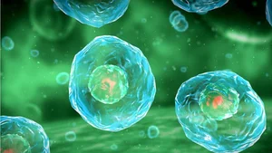 Exploring the Mysteries of Life: Fascinating Scientific Theories on Our Origins - image 4