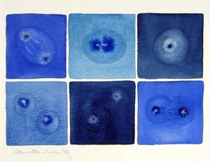 Exploring the Mysteries of Life: Fascinating Scientific Theories on Our Origins - image 3